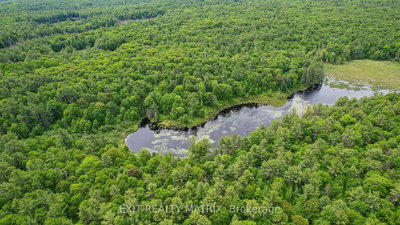 PT LT 9 Concession 1 Concession • White Lake, ON photo 5
