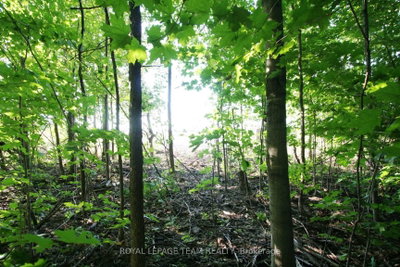 PtLt31 PLEASANT VALLEY Road • South Dundas, ON photo 5