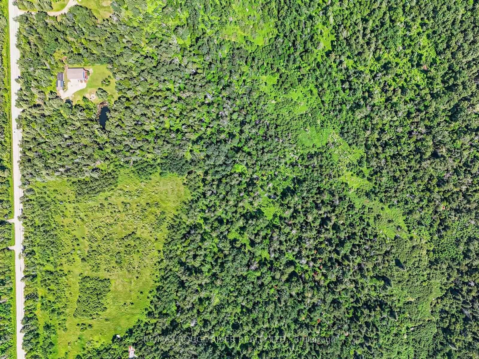 555247 Mono-Amaranth Townline • Mono, ON photo 29