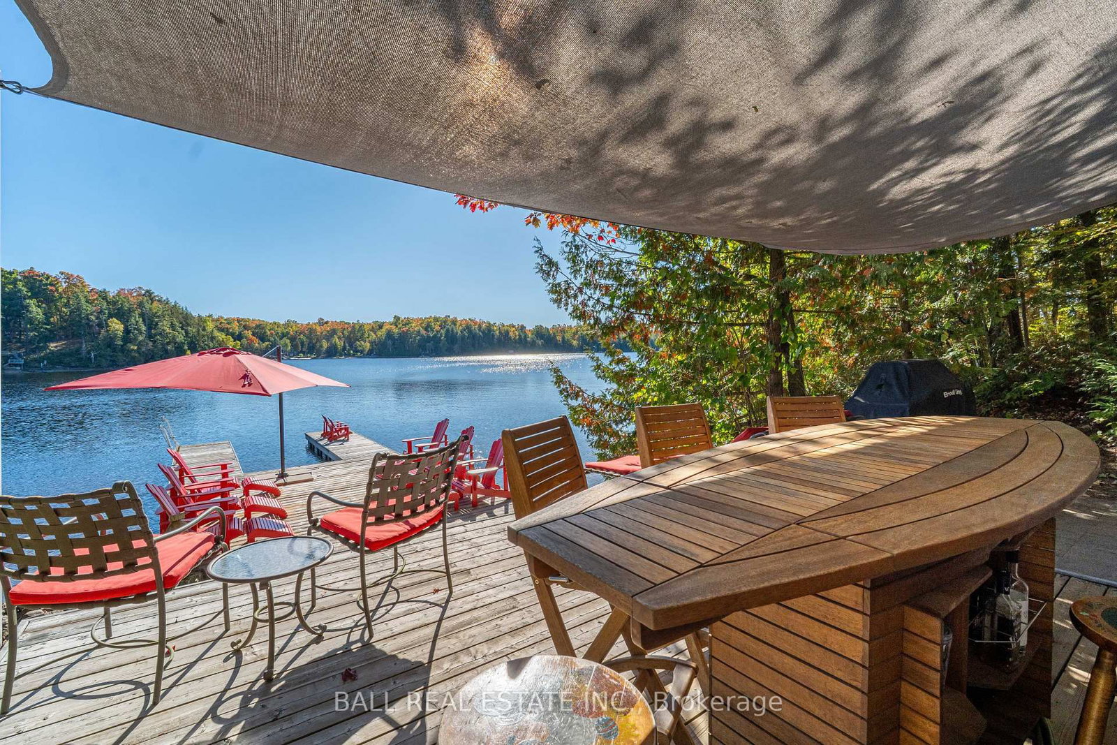 55 Fire Route 209 • Trent Lakes, ON photo 8