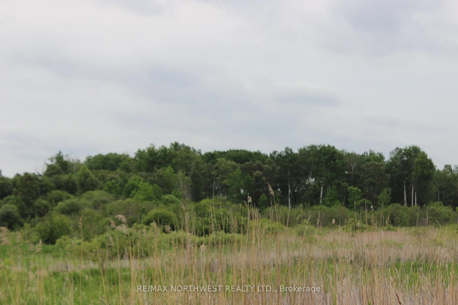 PCL 9872 HWY 619 • Lake of the Woods, ON photo 12