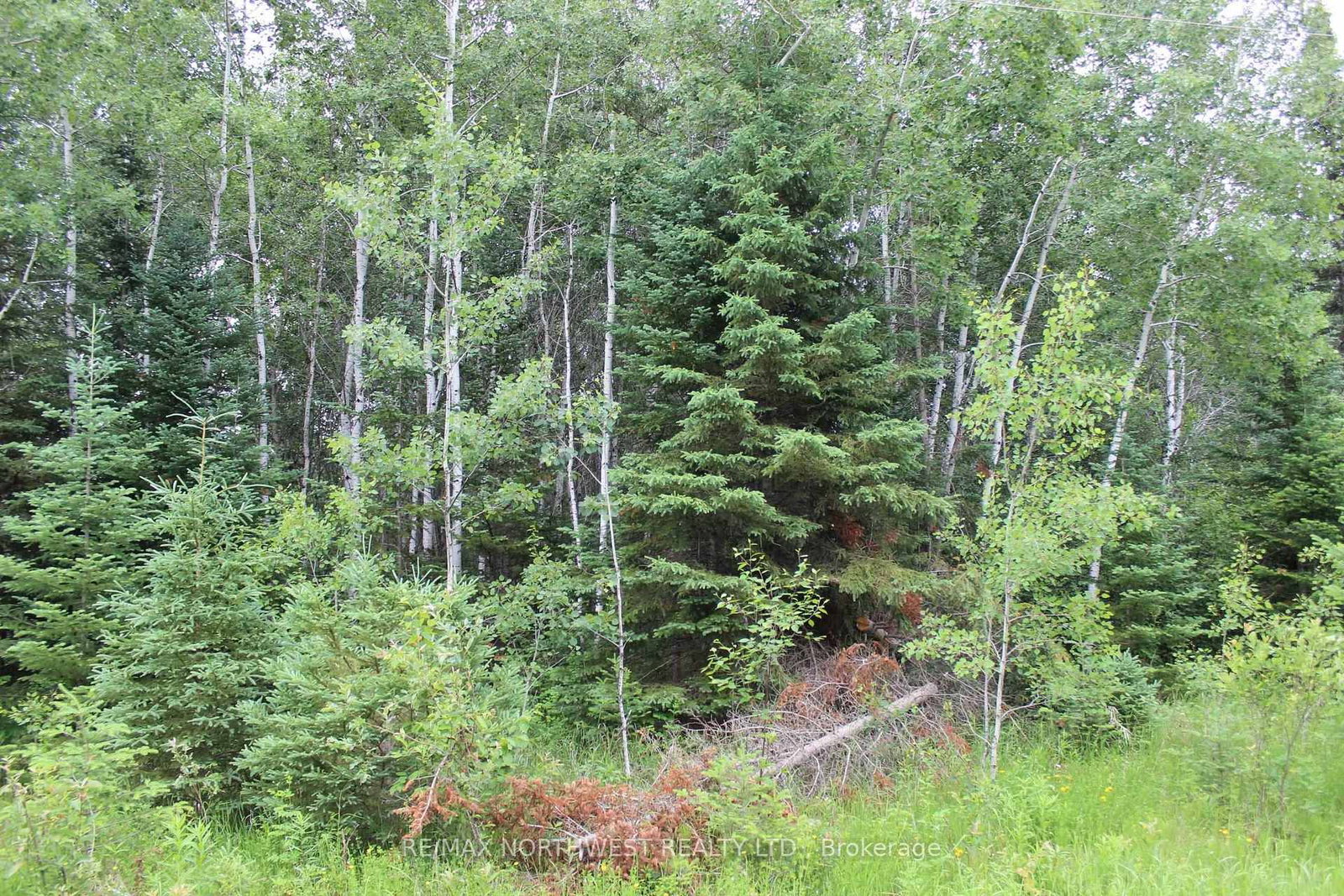PCL 9872 HWY 619 • Lake of the Woods, ON photo 8