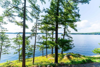 1218 Purdy Road • Muskoka Lakes, ON photo 4