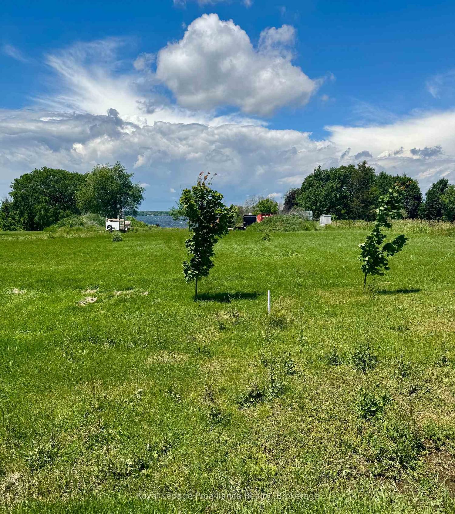 33 Prinyers Cove Crescent • Prince Edward County, ON photo 8