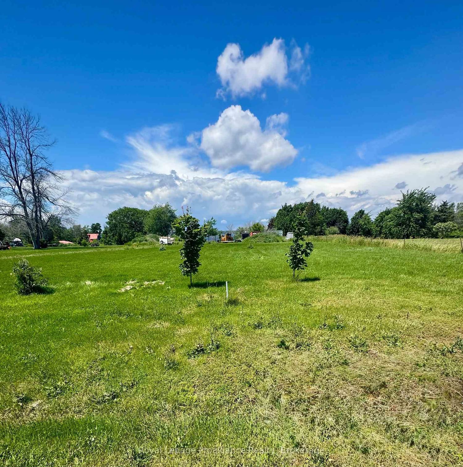 33 Prinyers Cove Crescent • Prince Edward County, ON photo 9