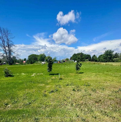 33 Prinyers Cove Crescent • Prince Edward County, ON photo 9