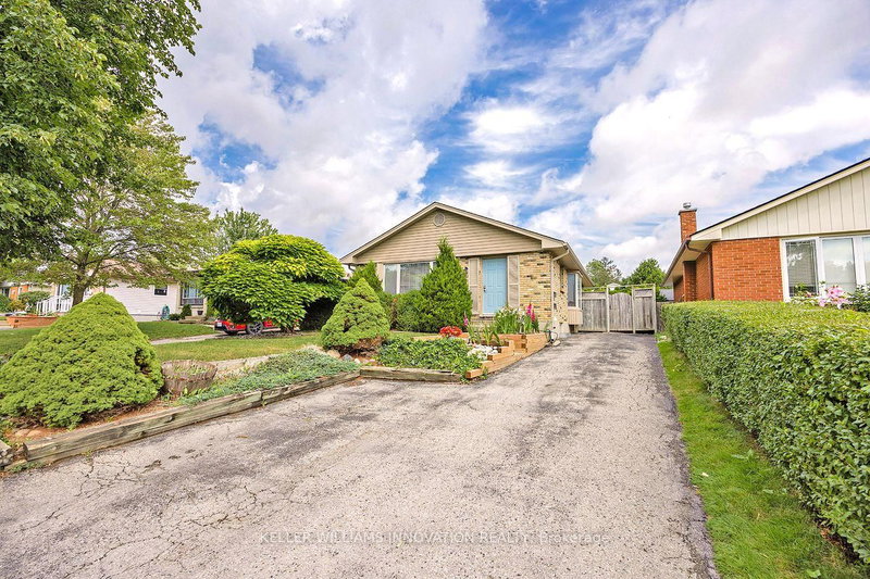 B - 81 Culver Crescent