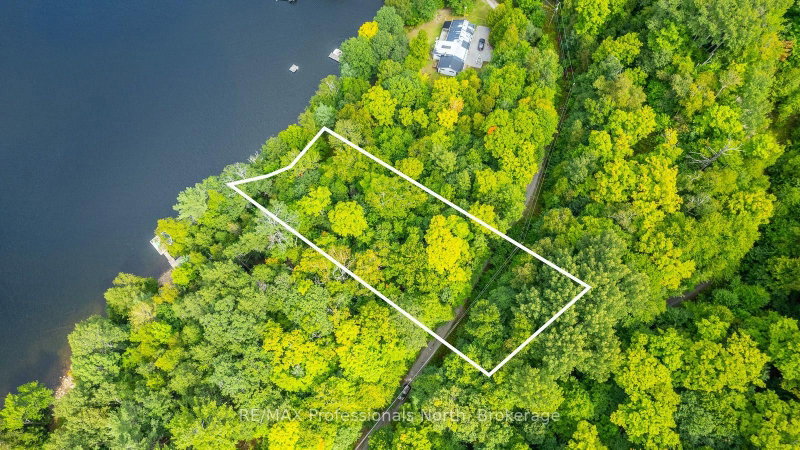 1024 Tarpaper Trail