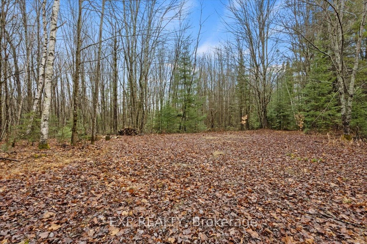 0 Gelert Road • Minden Hills, ON photo 10