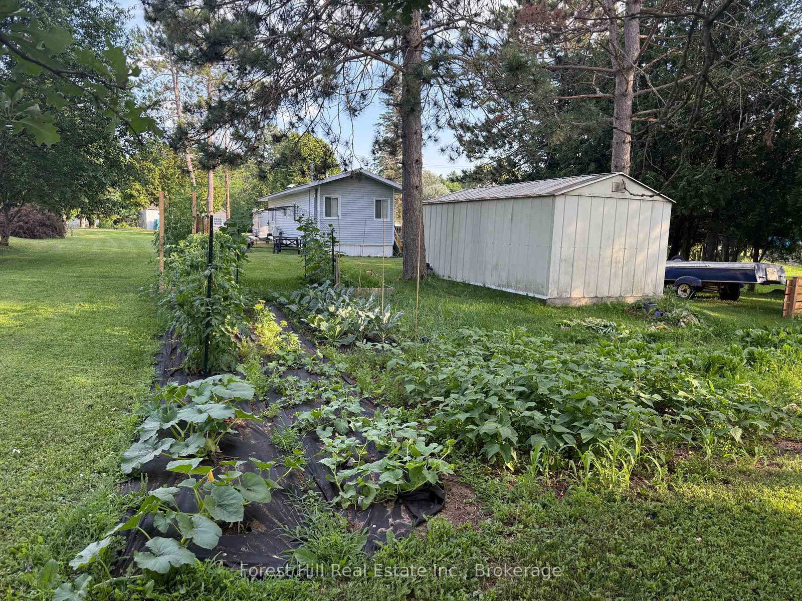 43 Davis Drive • Parry Sound Remote Area, ON photo 11