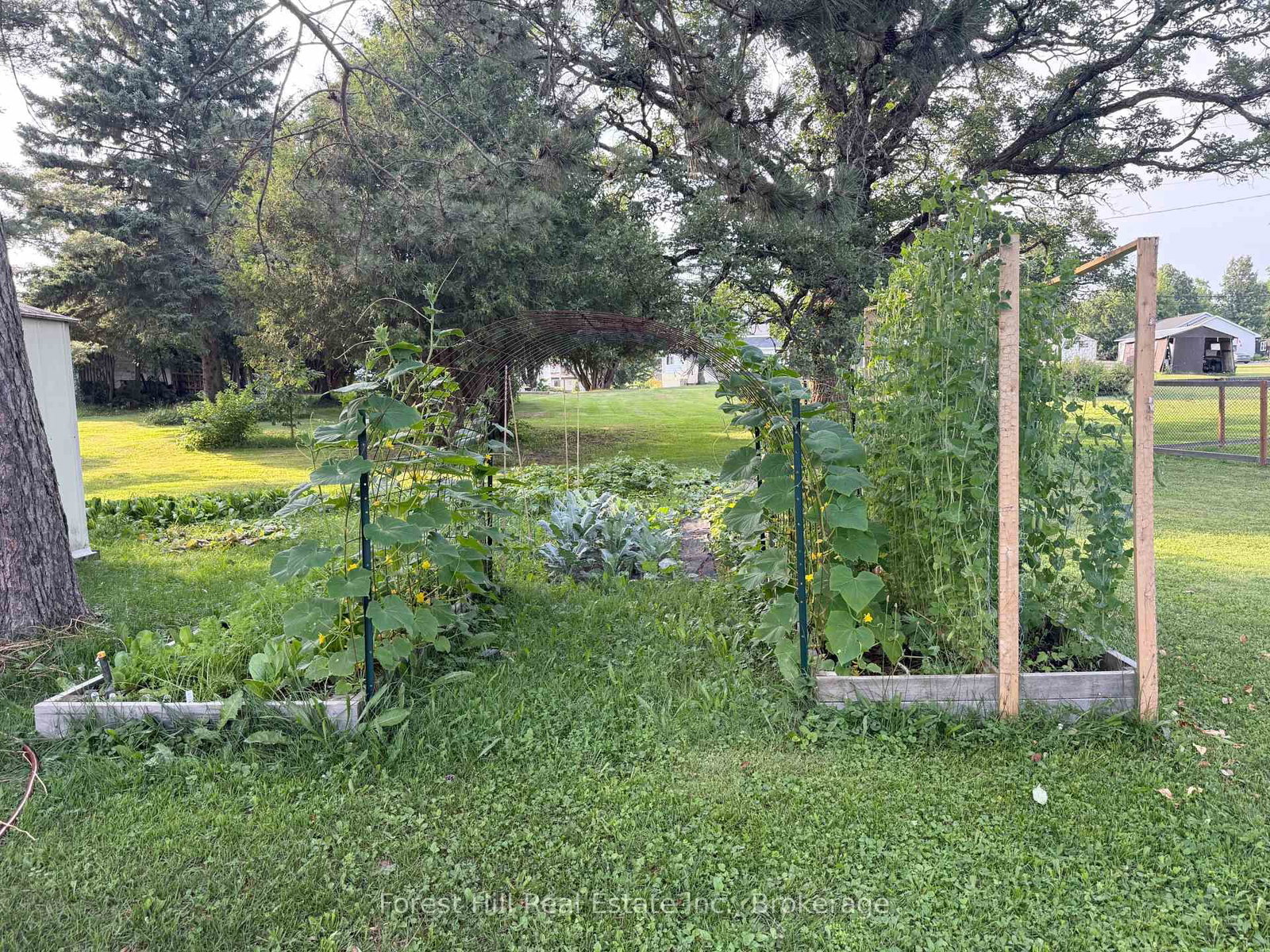 43 Davis Drive • Parry Sound Remote Area, ON photo 9
