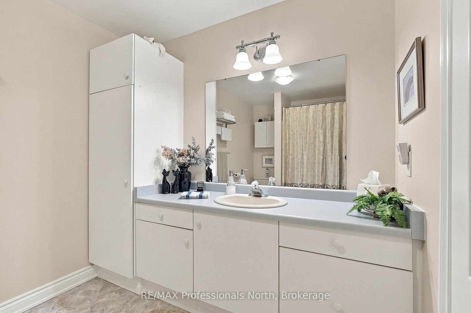 8 PALMER Court • Bracebridge, ON photo 47