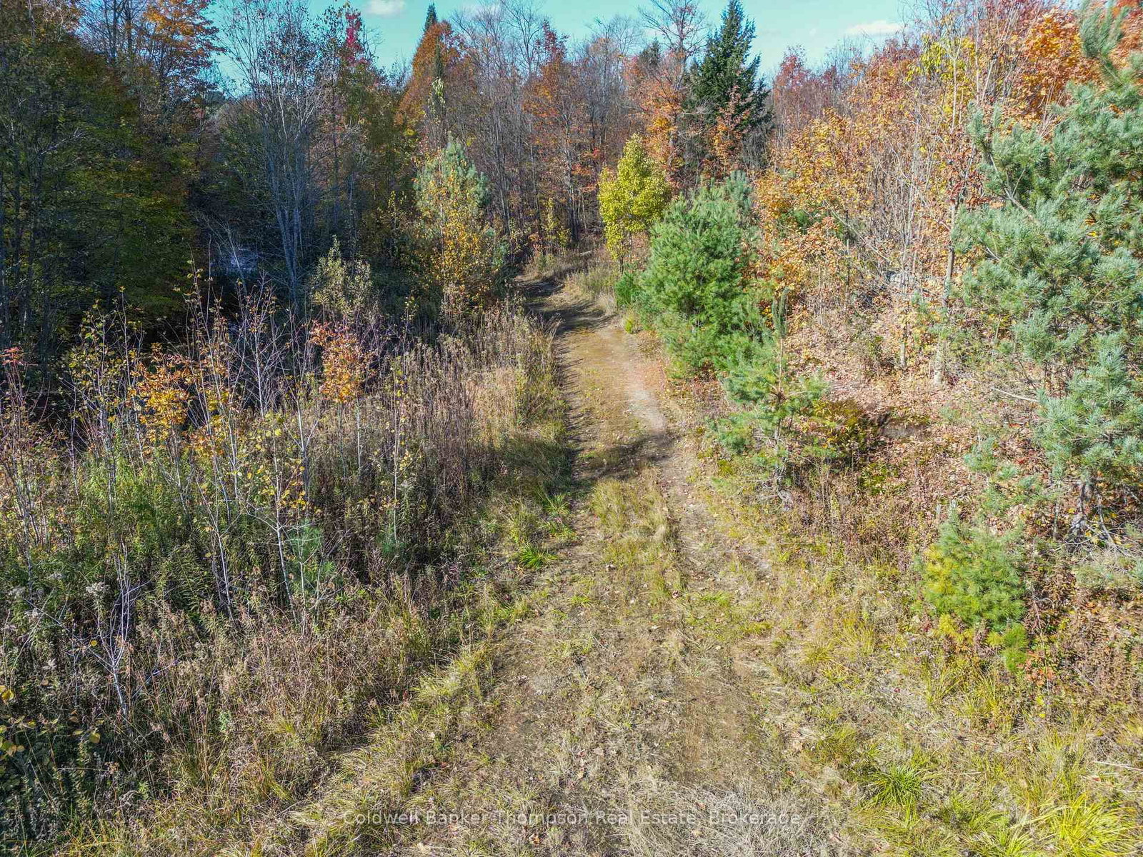 3051 Yearley Road • Huntsville, ON photo 12