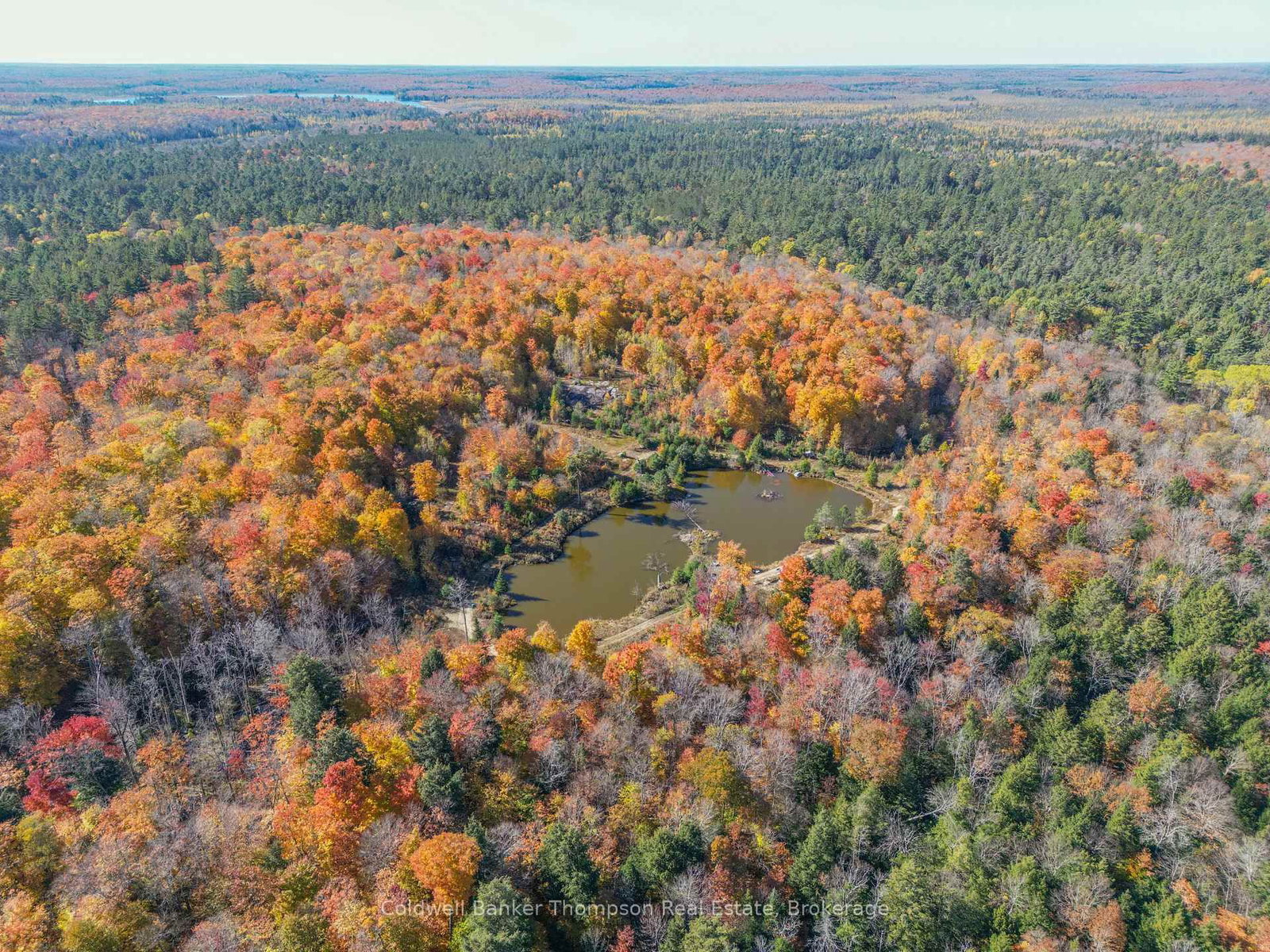 3051 Yearley Road • Huntsville, ON photo 14