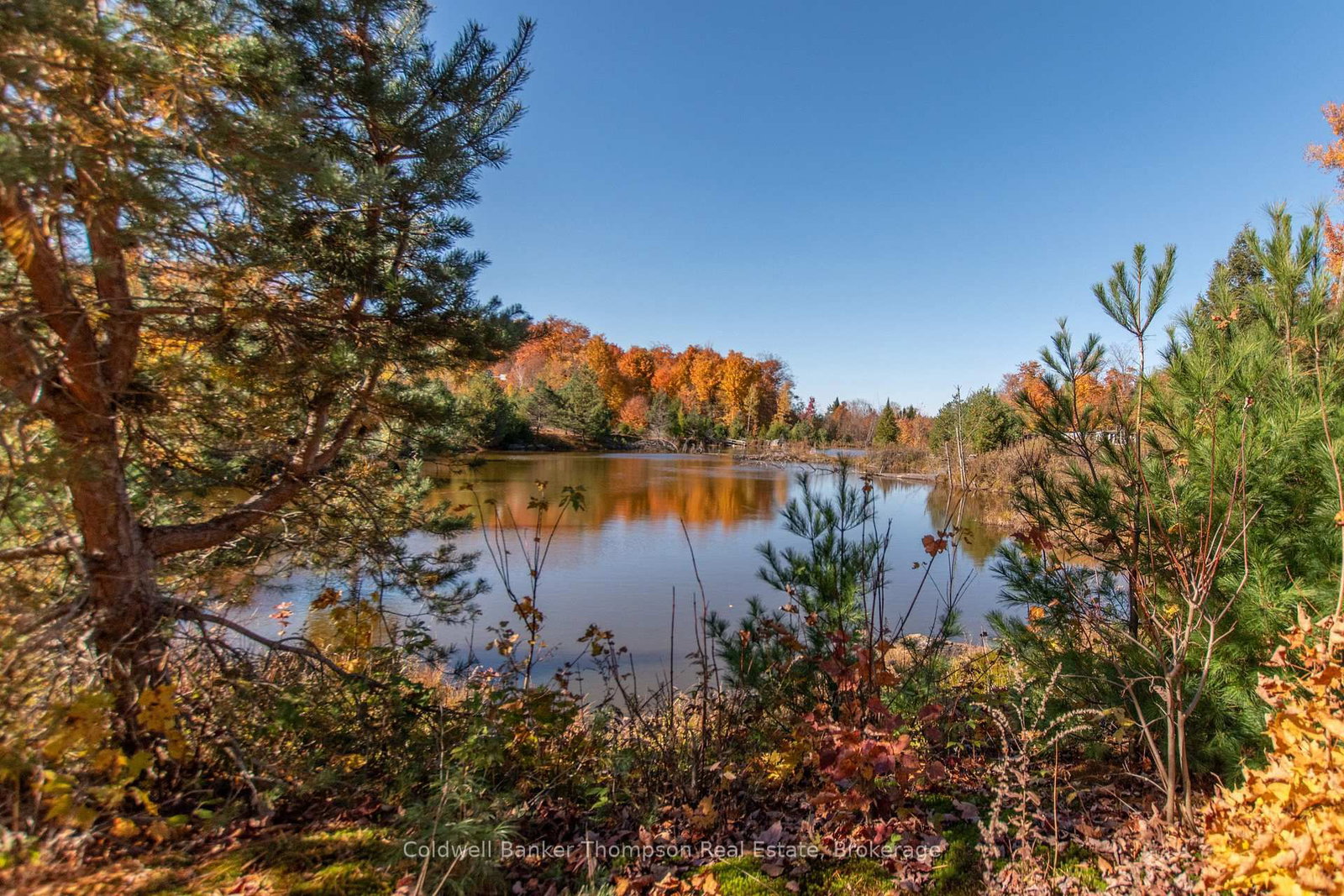 3051 Yearley Road • Huntsville, ON photo 16