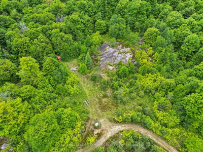 3051 Yearley Road • Huntsville, ON photo 9