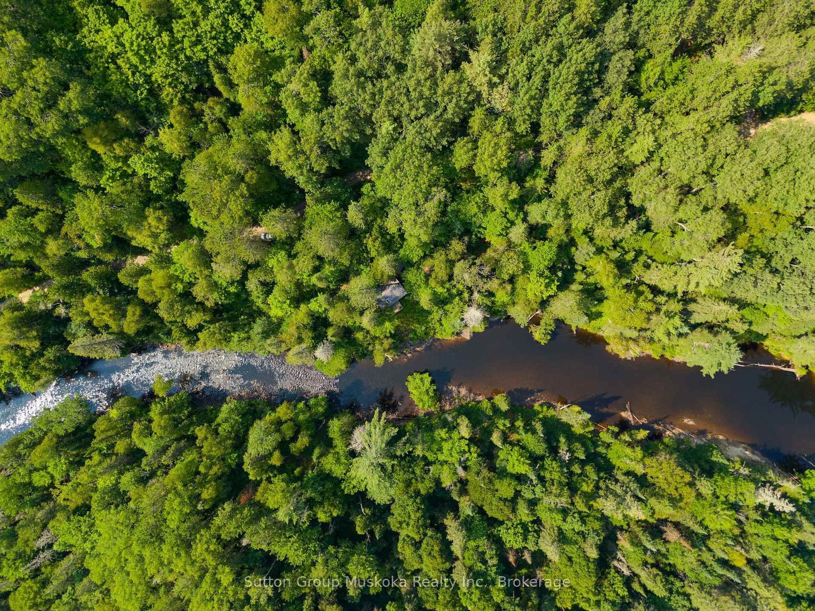 1569 Dyer Memorial Road • Huntsville, ON photo 40