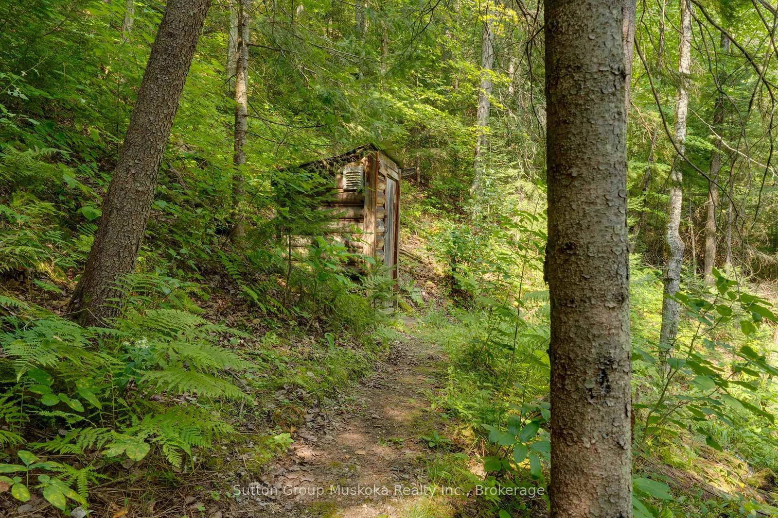 1569 Dyer Memorial Road • Huntsville, ON photo 42