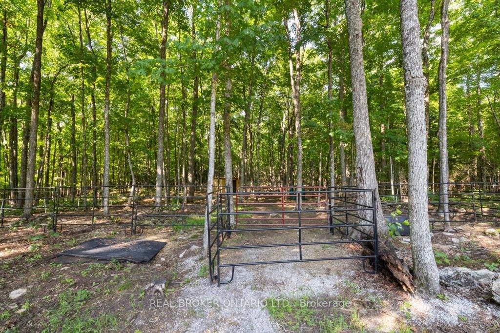 804 Darling Road • Clayton, ON photo 39