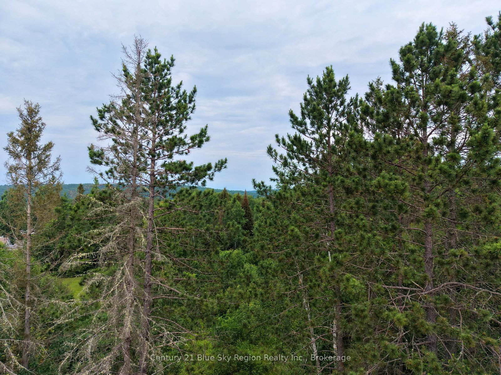 PART LOT 15 CONCESSION 13 Road • Mattawa, ON photo 5