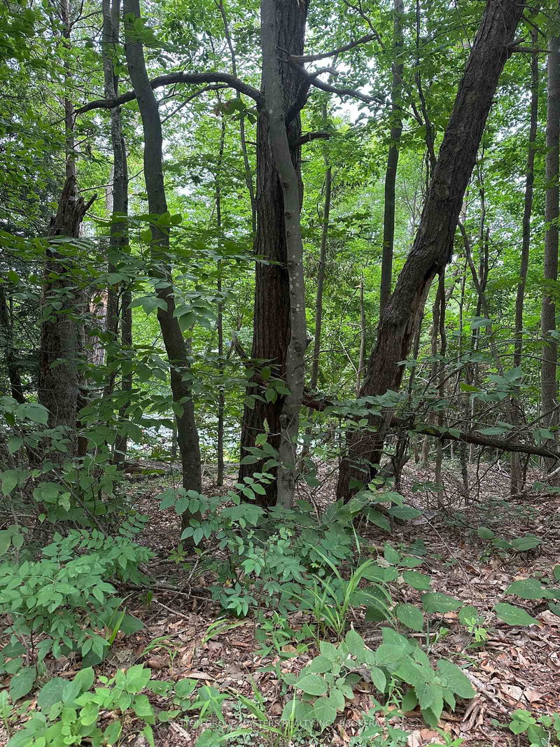 0 SILVER ROCK Lane