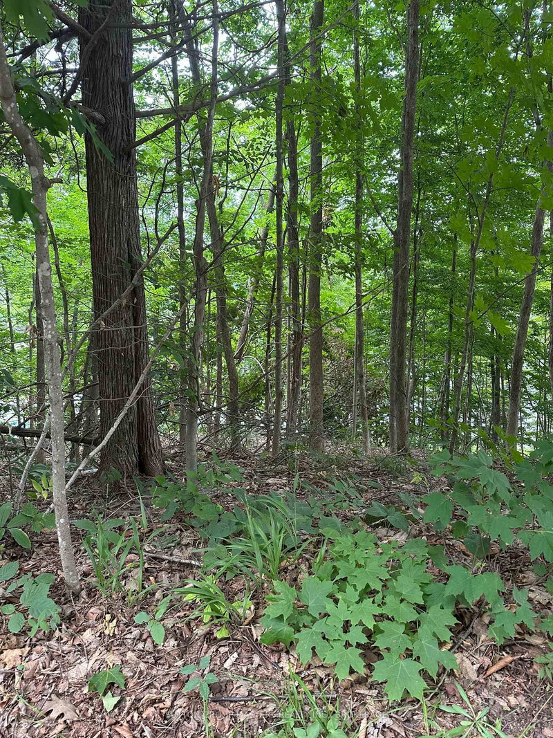 0 SILVER ROCK Lane