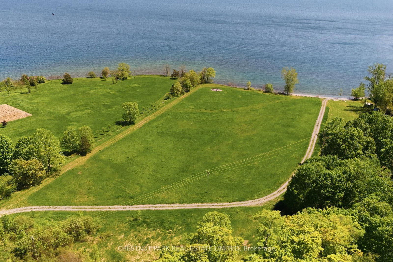 4176 County Road 8 • Prince Edward County, ON photo 10
