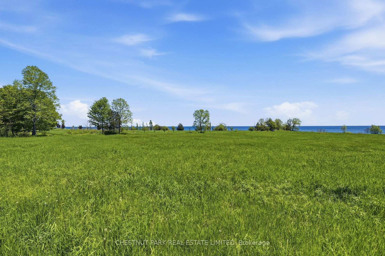 4176 County Road 8 • Prince Edward County, ON photo 12