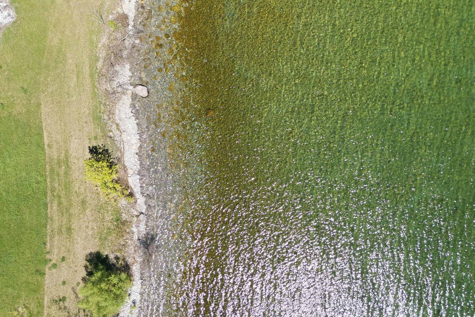 4176 County Road 8 • Prince Edward County, ON photo 19
