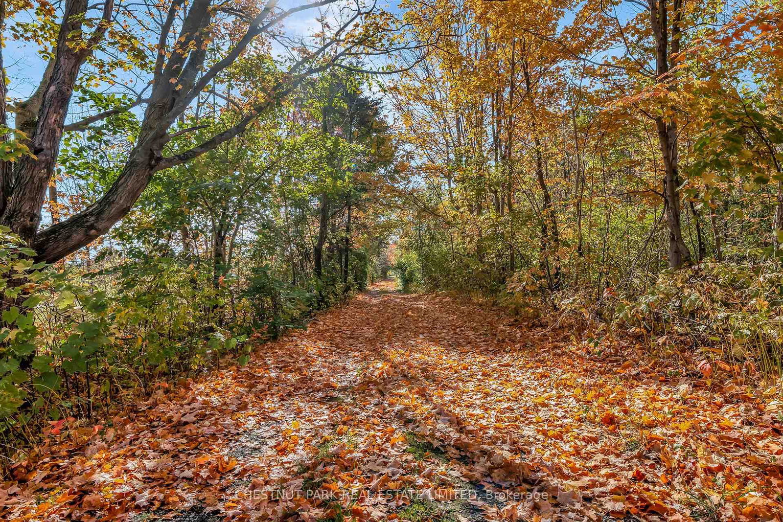 4176 County Road 8 • Prince Edward County, ON photo 24