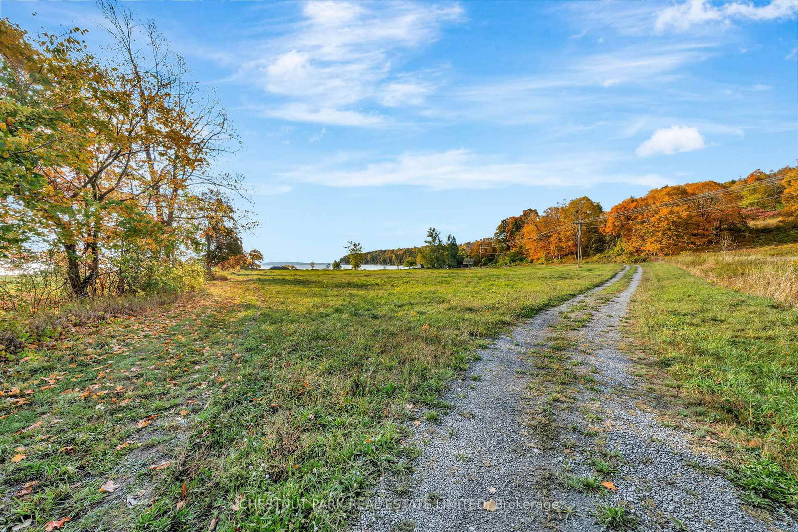 4176 County Road 8 • Prince Edward County, ON photo 26