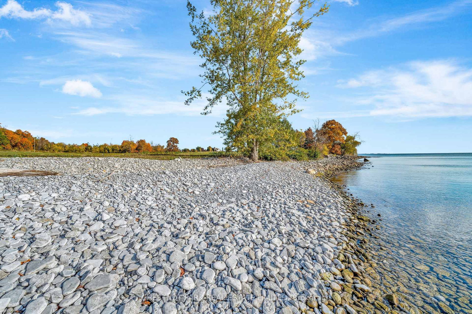 4176 County Road 8 • Prince Edward County, ON photo 28