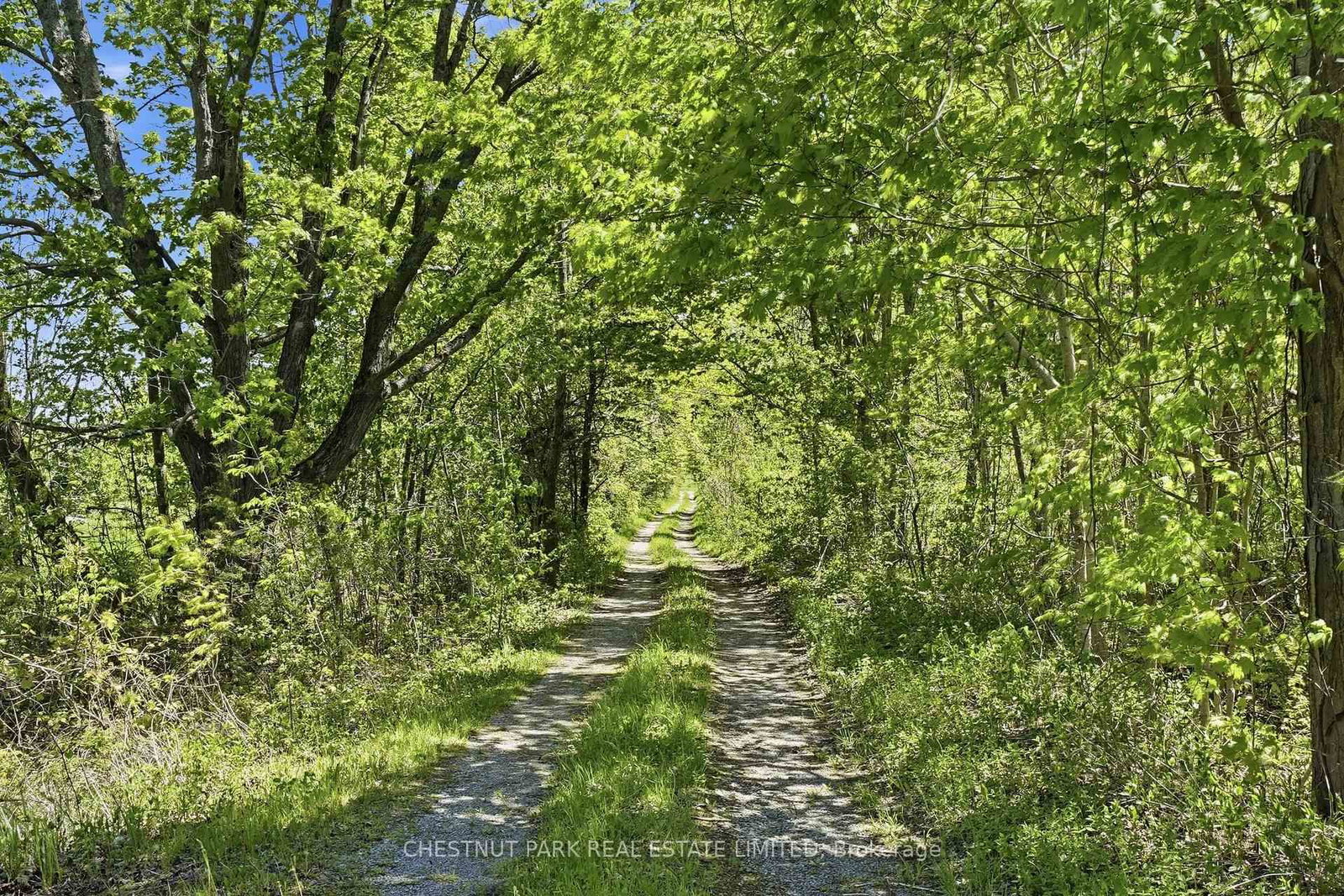 4176 County Road 8 • Prince Edward County, ON photo 4