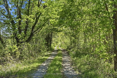 4176 County Road 8 • Prince Edward County, ON photo 4