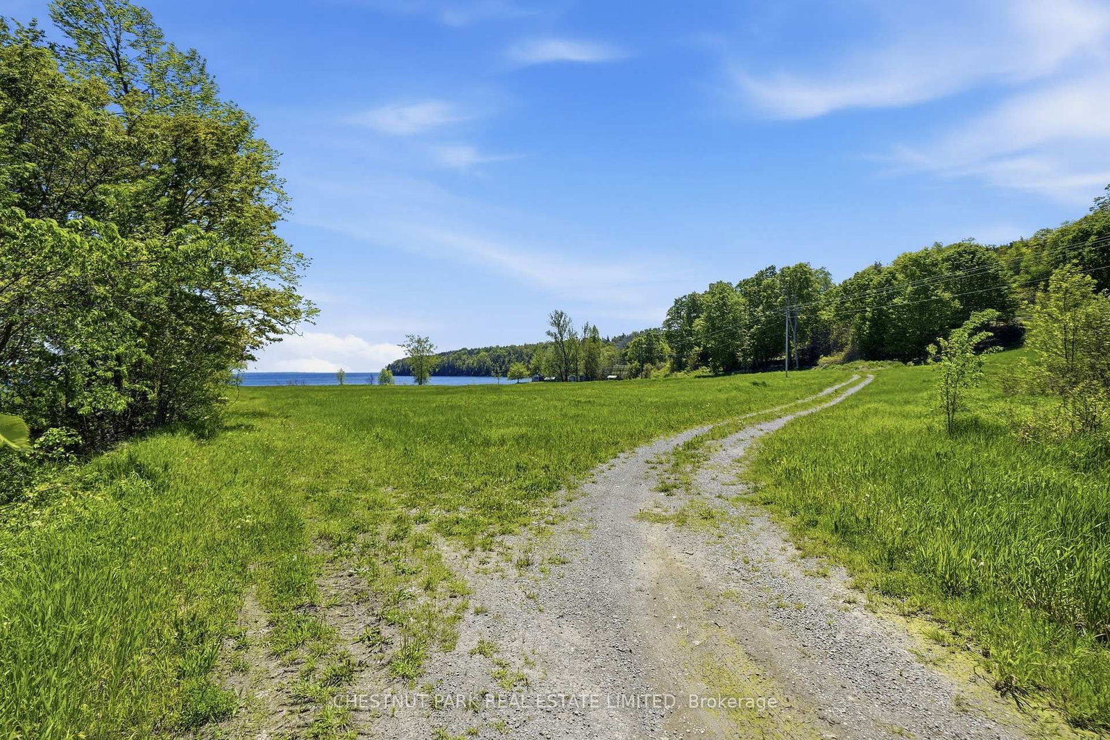 4176 County Road 8 • Prince Edward County, ON photo 5