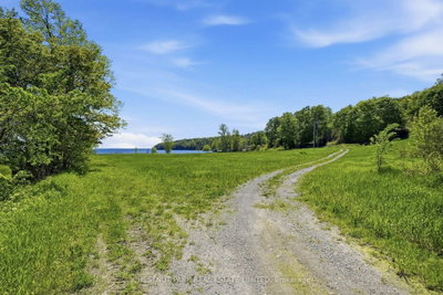 4176 County Road 8 • Prince Edward County, ON photo 5