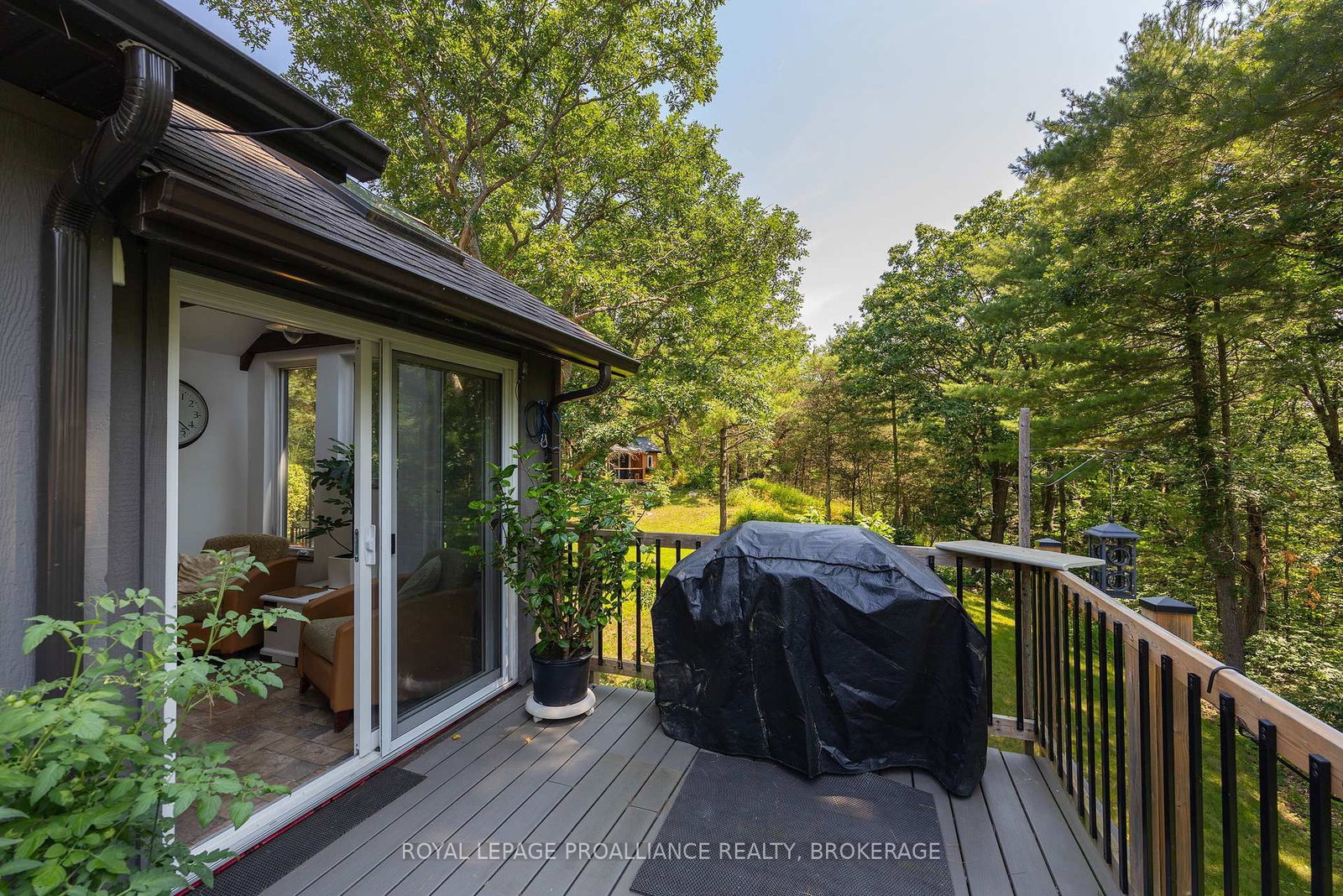 369 Old River Road • Front of Yonge, ON photo 16