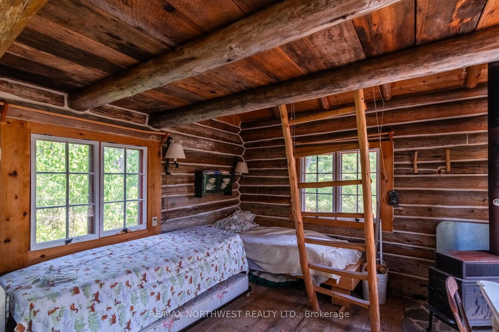 1 Red Pine Island • Rainy River Remote Area, ON photo 30