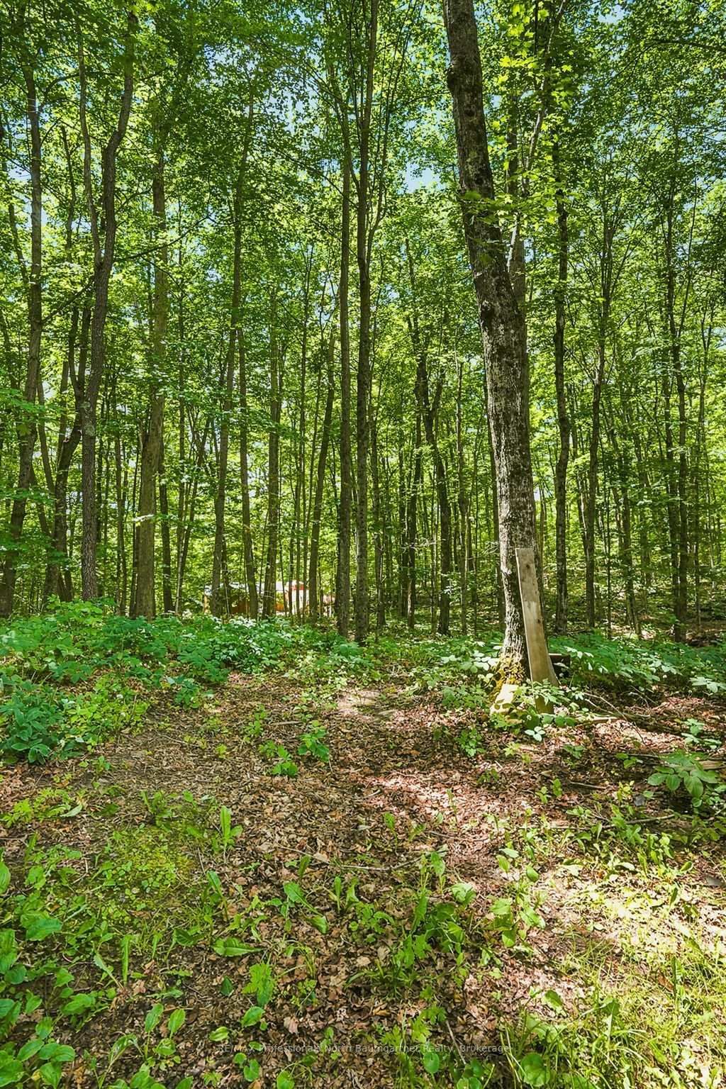 1201 Wenona Lake Road • Dysart et al, ON photo 35