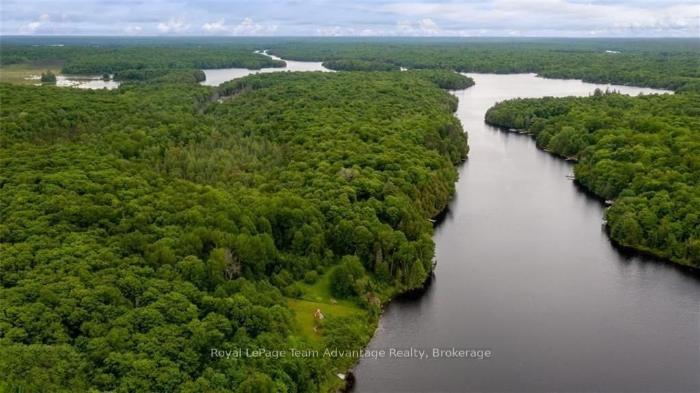 60WA Gooseneck Lake • Whitestone, ON photo 17