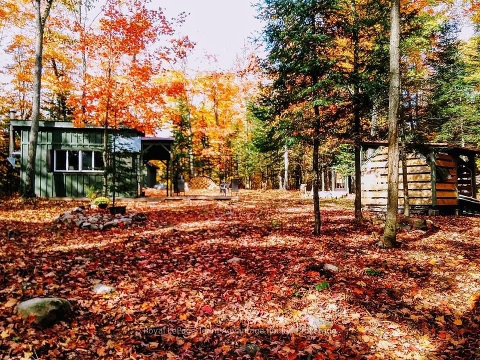 60WA Gooseneck Lake • Whitestone, ON photo 19