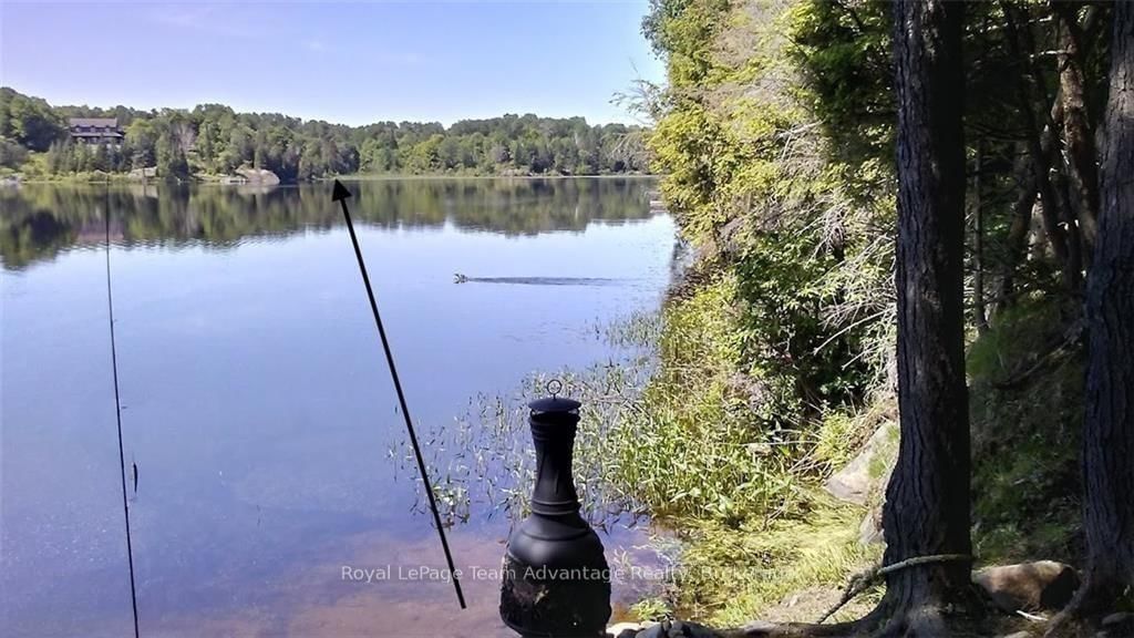 60WA Gooseneck Lake • Whitestone, ON photo 27
