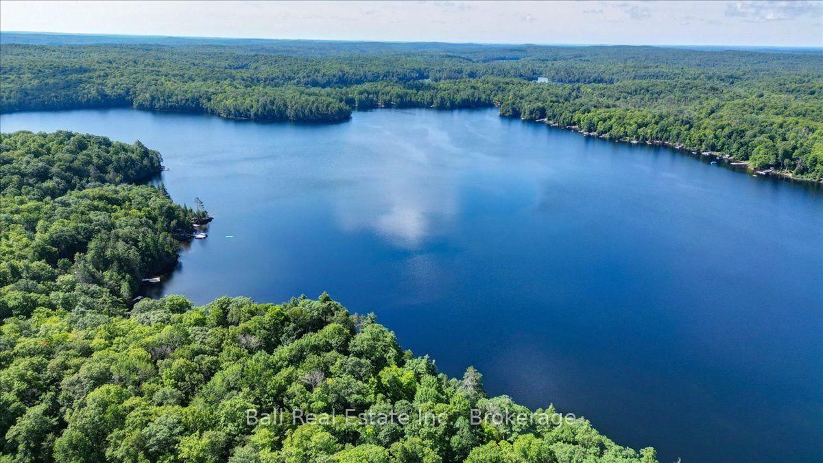 408 Jennison Road • Hastings, ON photo 40