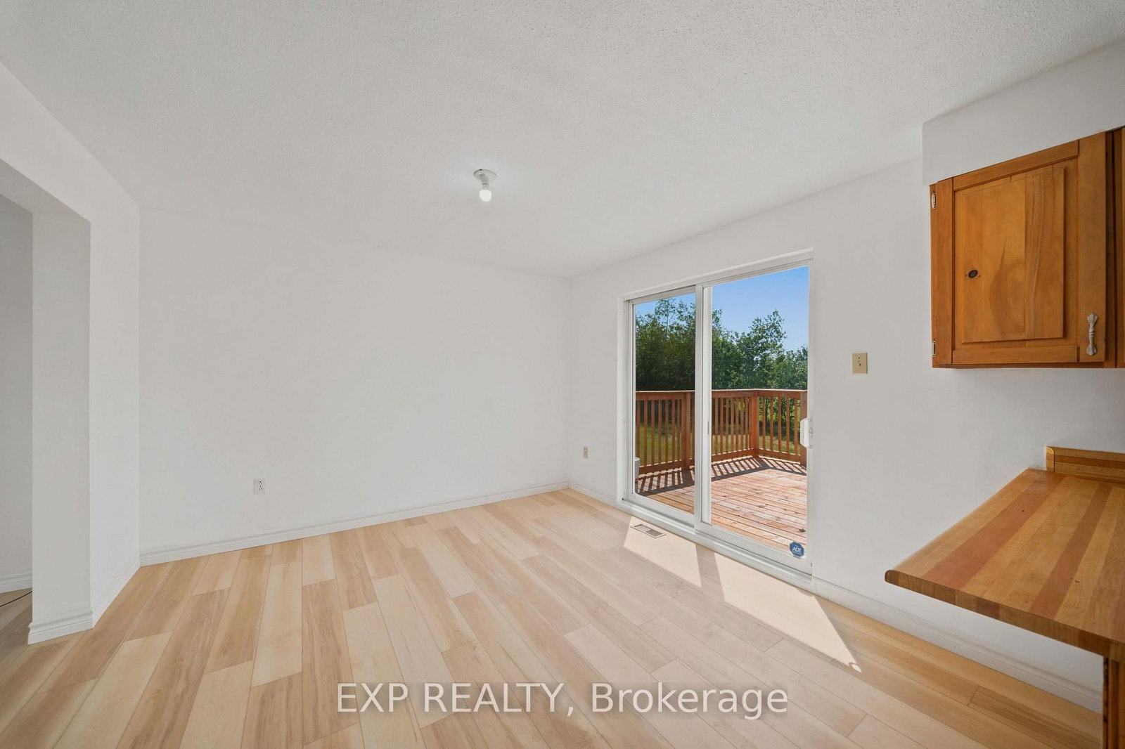 2740 CLAUDE DUVAL Side Road • The Nation, ON photo 12