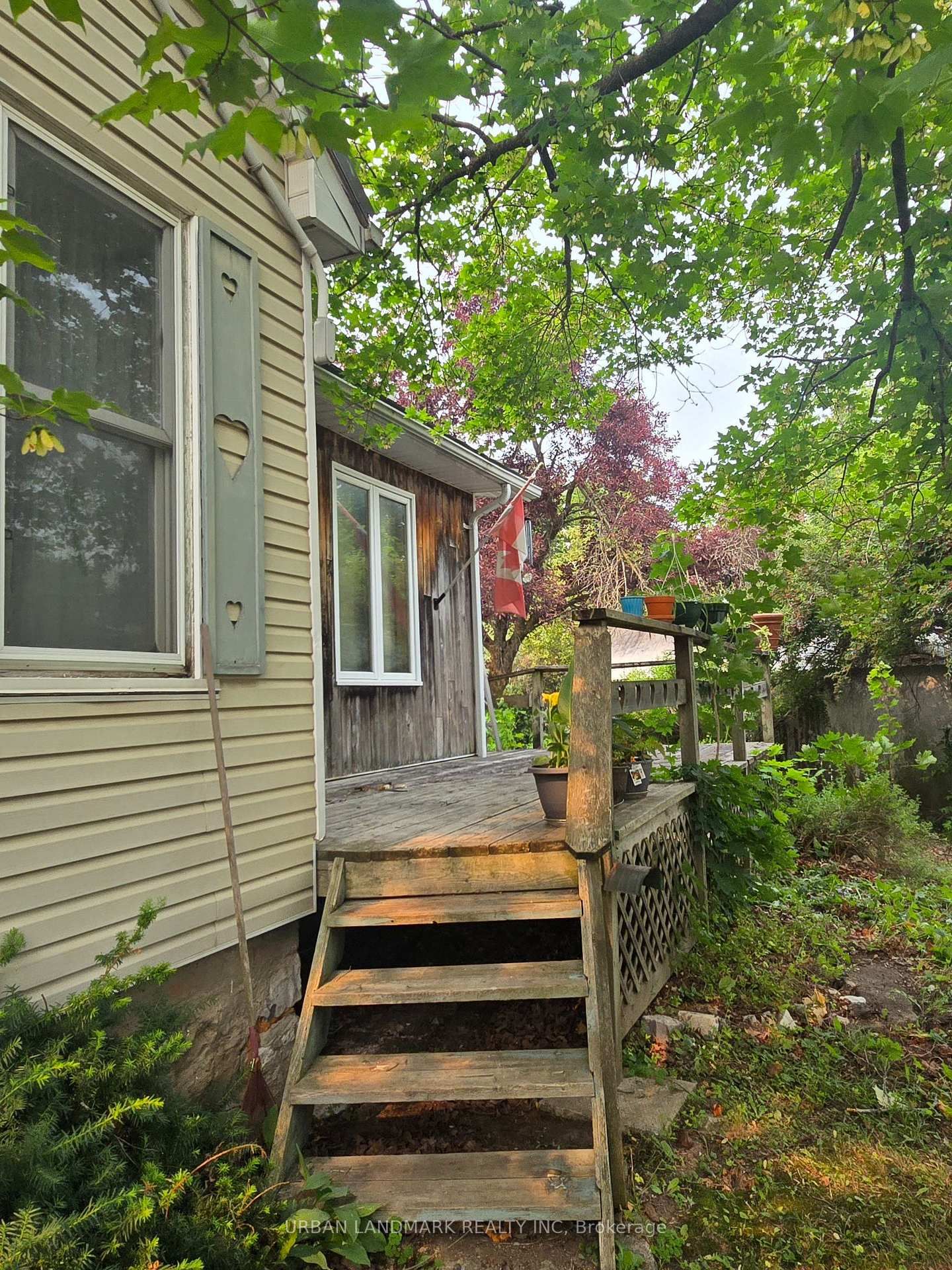 55 Nelson Street • Madoc, ON photo 5