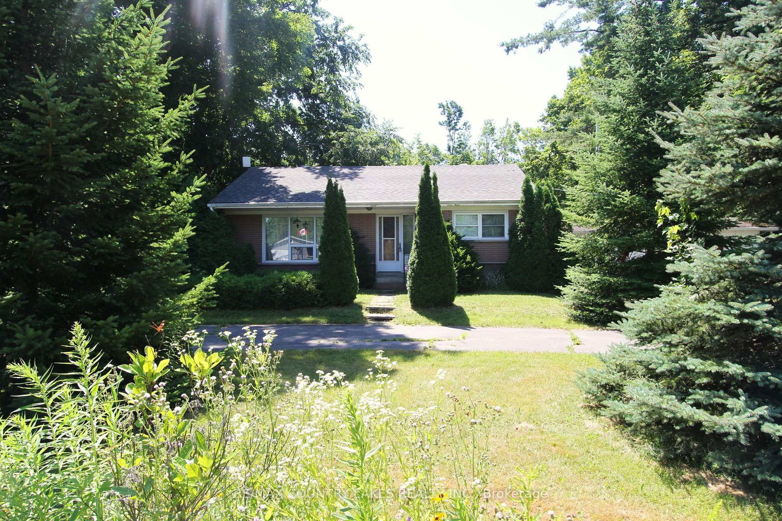 986 Portage Road • Kawartha Lakes, ON photo 5