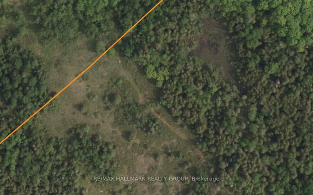1999 Forest Edge Road