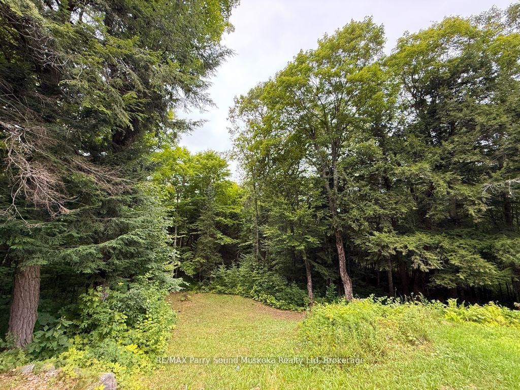 335 Centre Road • McKellar, ON photo 13