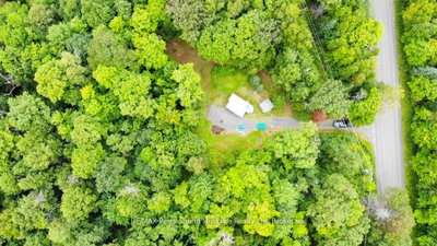 335 Centre Road • McKellar, ON photo 5
