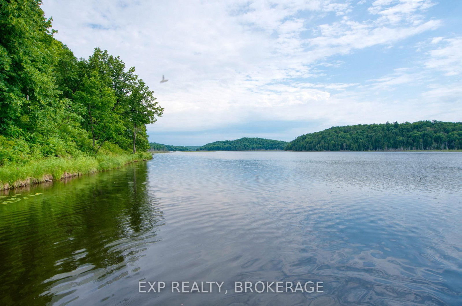 1427 LEWIS Road • Mountain Grove, ON photo 42